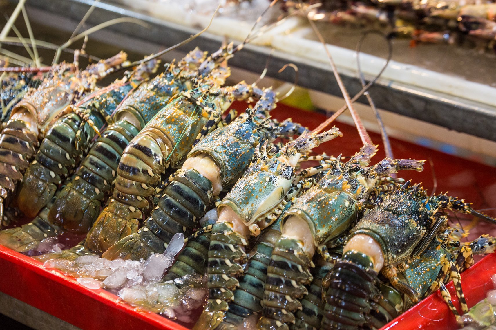 Exotic seafood, fruit and vegetable delicacy at the local market in Thailand